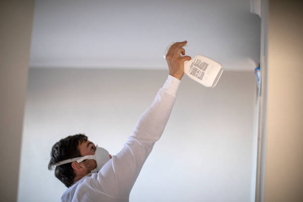 Best Fast Mold Removal  in Bee Cave, TX
