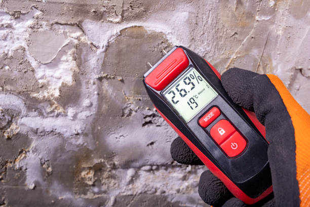 Best Emergency Mold Removal  in Bee Cave, TX