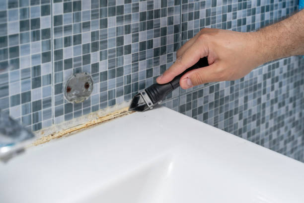Reliable Bee Cave, TX Mold Removal Solutions